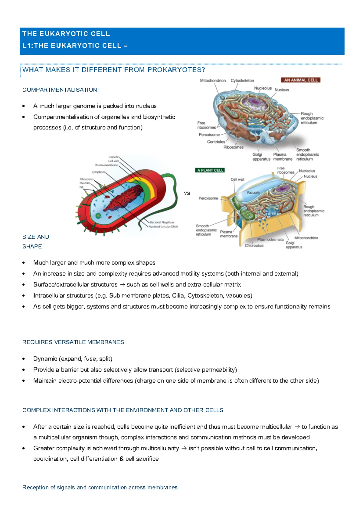 Cell Biology In Depth (CBI101) Summary Notes: Chapters 1 & 2 - Studocu