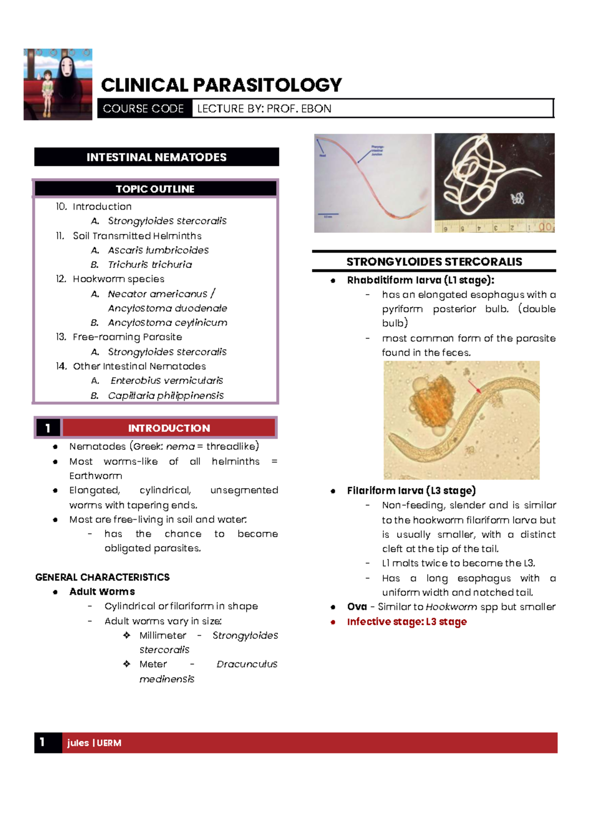 CLINICAL PARASITOLOGY LECTURE NOTES: INTESTINAL NEMATODES (CLINPARA 101 ...