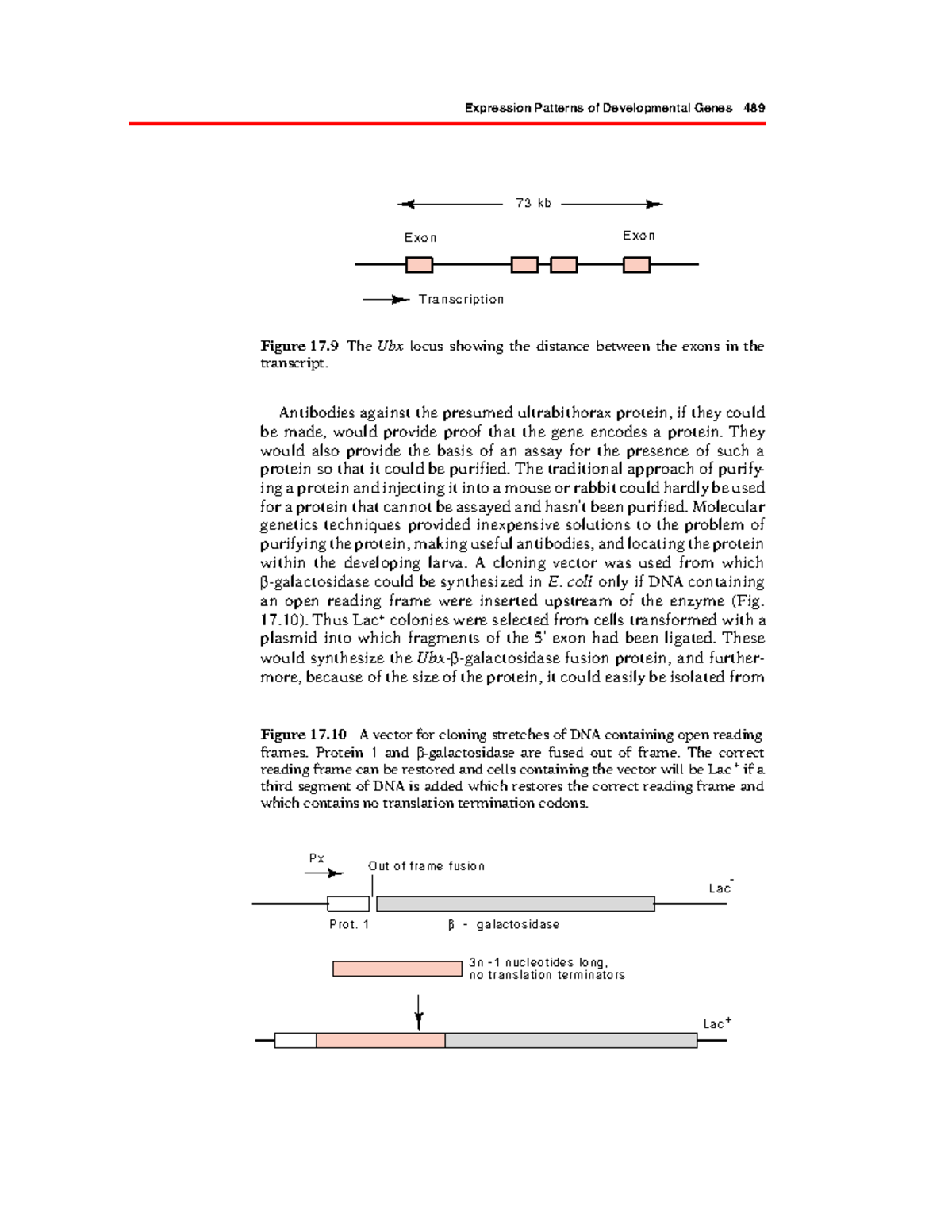 Genetics and Molecular Biology – Part 253: Developmental Gene ...