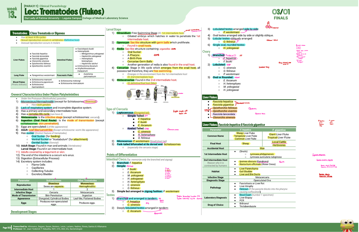 [PARA 311] Finals - Clinical Parasitology Trematodes Overview - Studocu