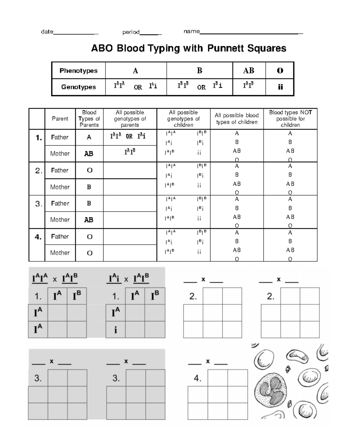 3 - ABO Blood Typing with Punnett Squares Worksheet - Studocu