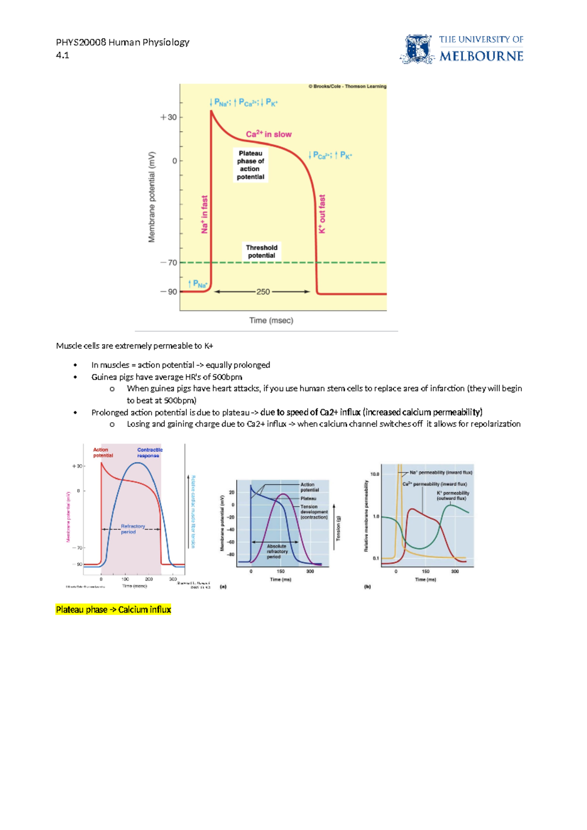 MUSI2015 Lecture Notes: Resource-Oriented Music Therapy for