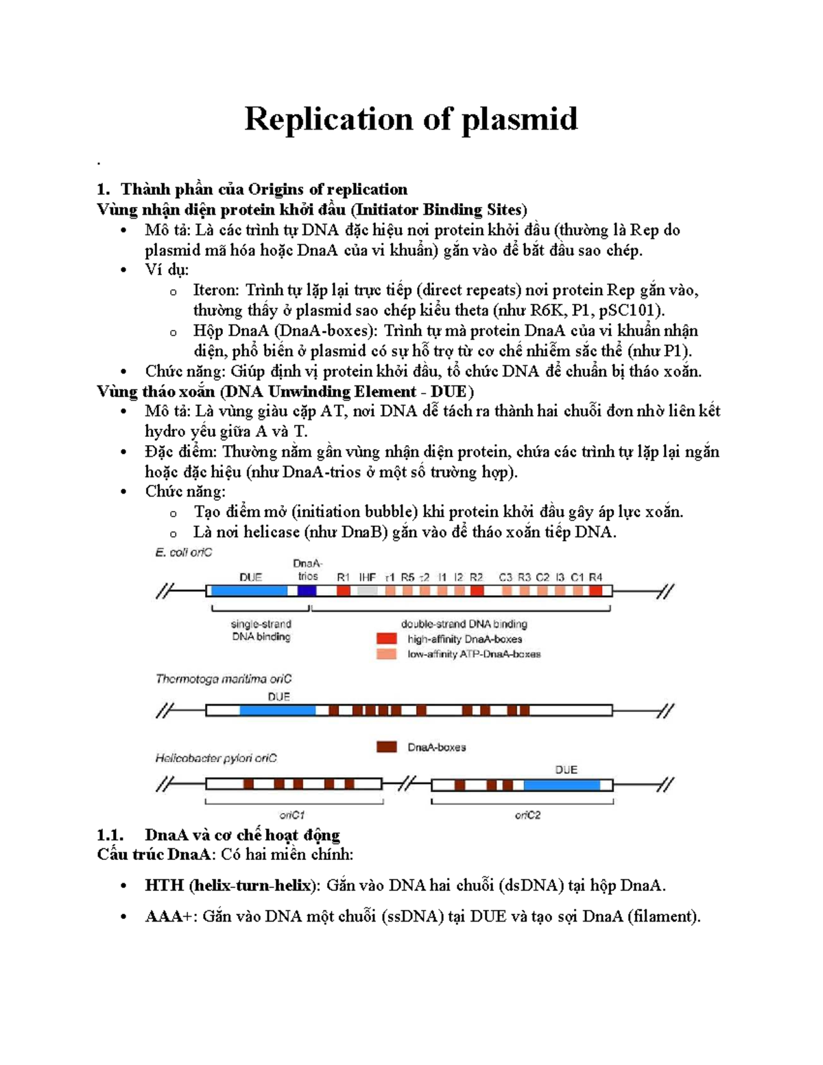 Plasmid Replication Mechanisms and Factors Influencing Copy Number ...