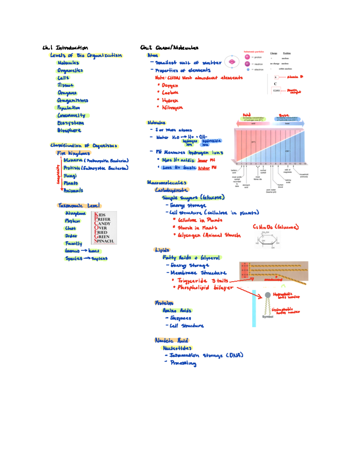 Exam 1 Review Notes for Bio 101: Chapters 1, 3, 5, 6, 7, 9 - Studocu