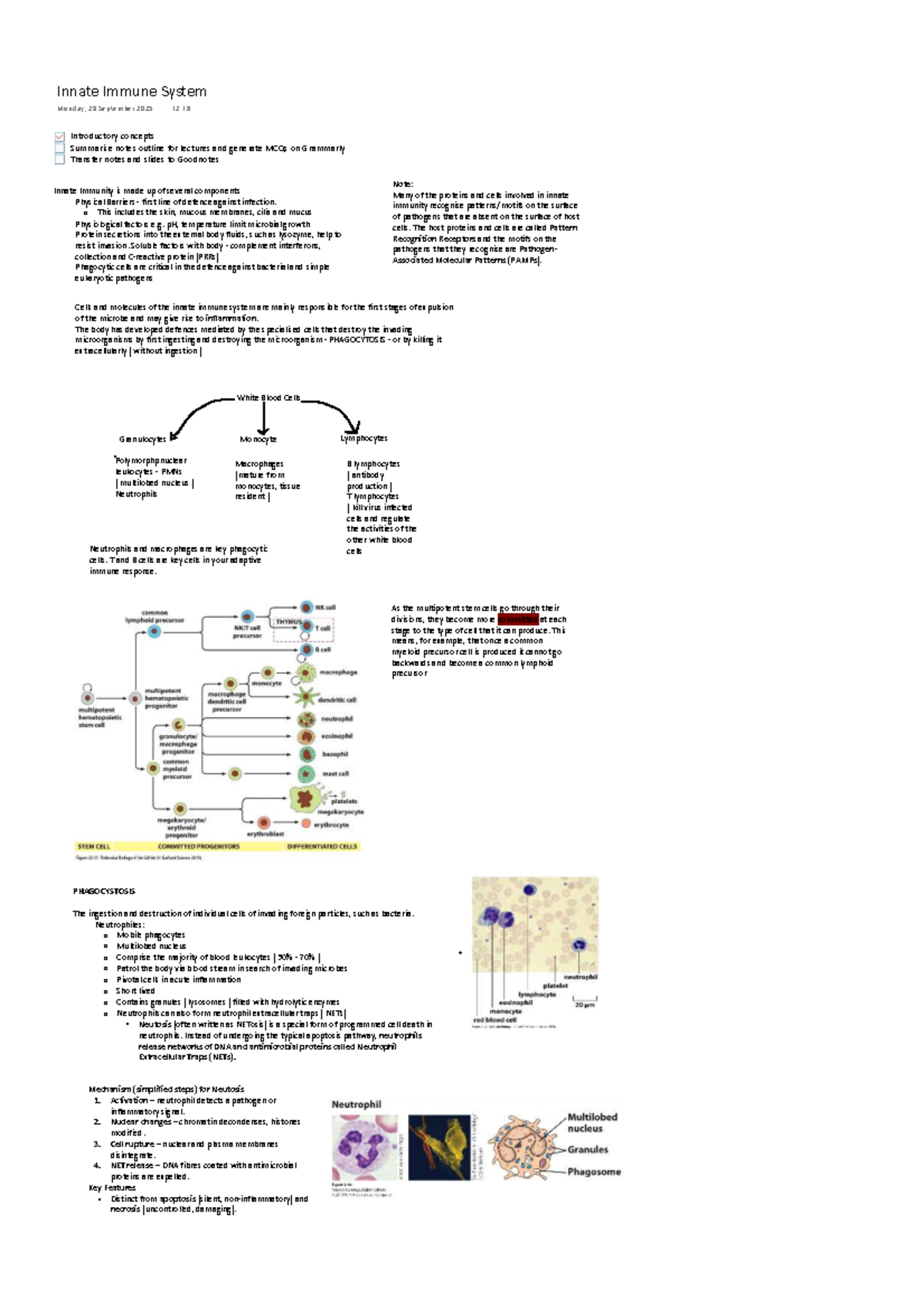 MSC Immunology Week 1.2: Overview of the Innate Immune System - Studocu