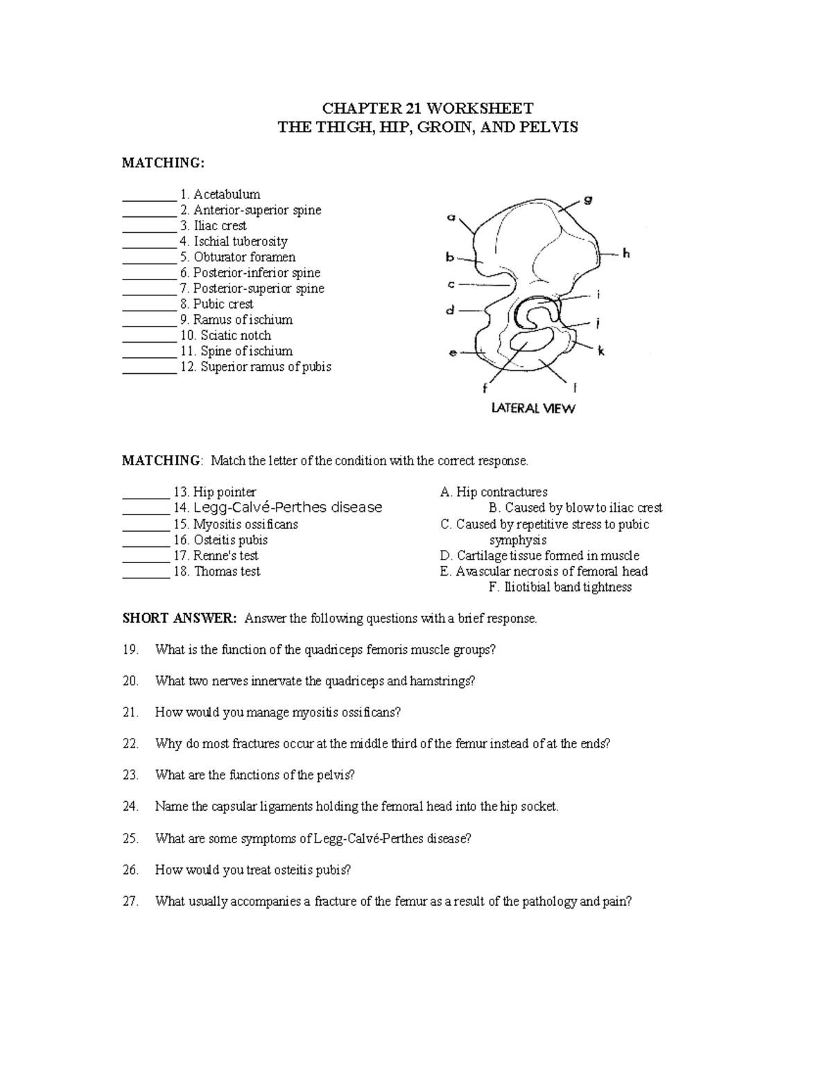 Chapter+21+Worksheet - CHAPTER 21 WORKSHEET THE THIGH, HIP, GROIN, AND ...