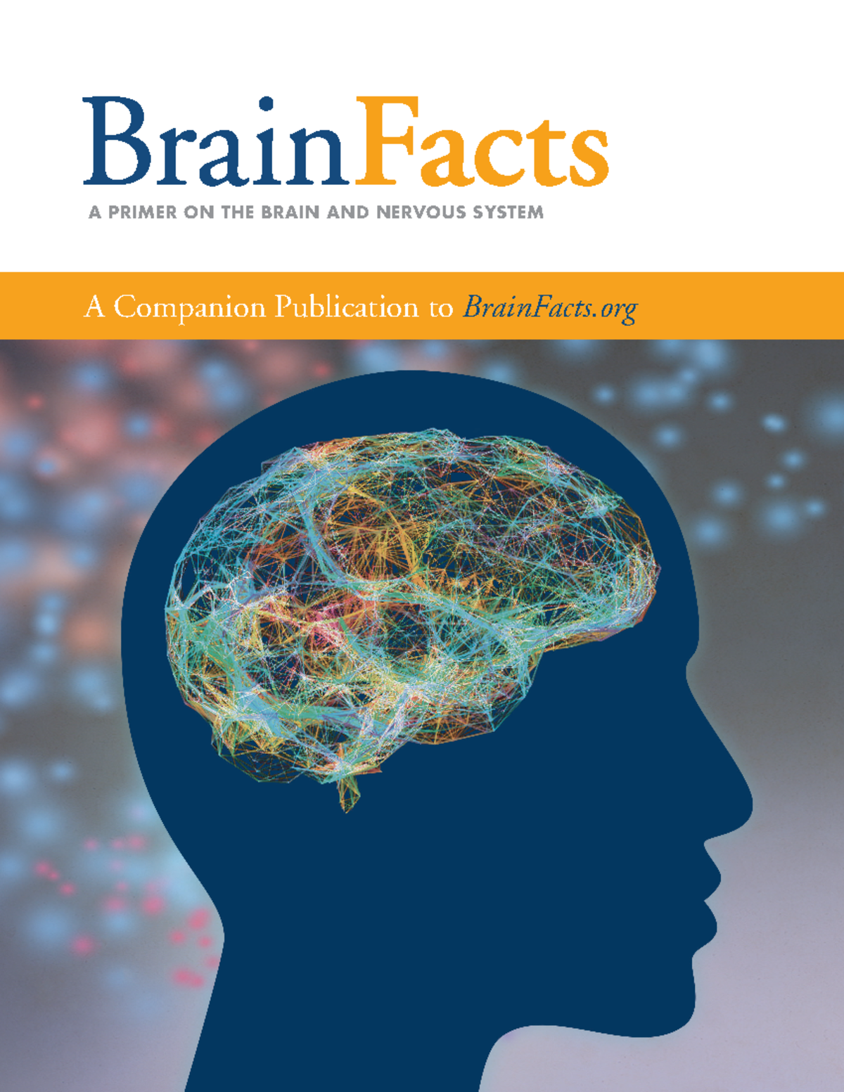 **Neuroscience Primer: Understanding Brain Facts and Concepts ...