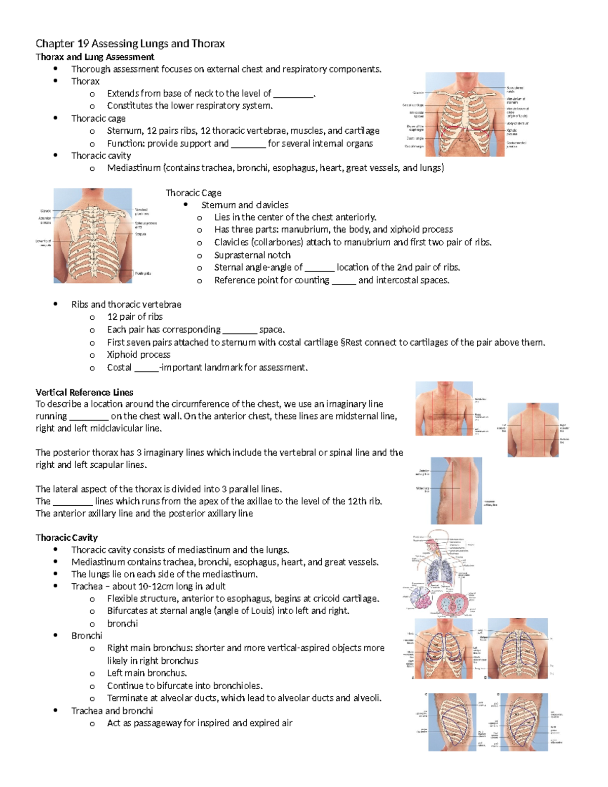 Chapter 19: Thorax and Lung Assessment Lecture Notes - Studocu