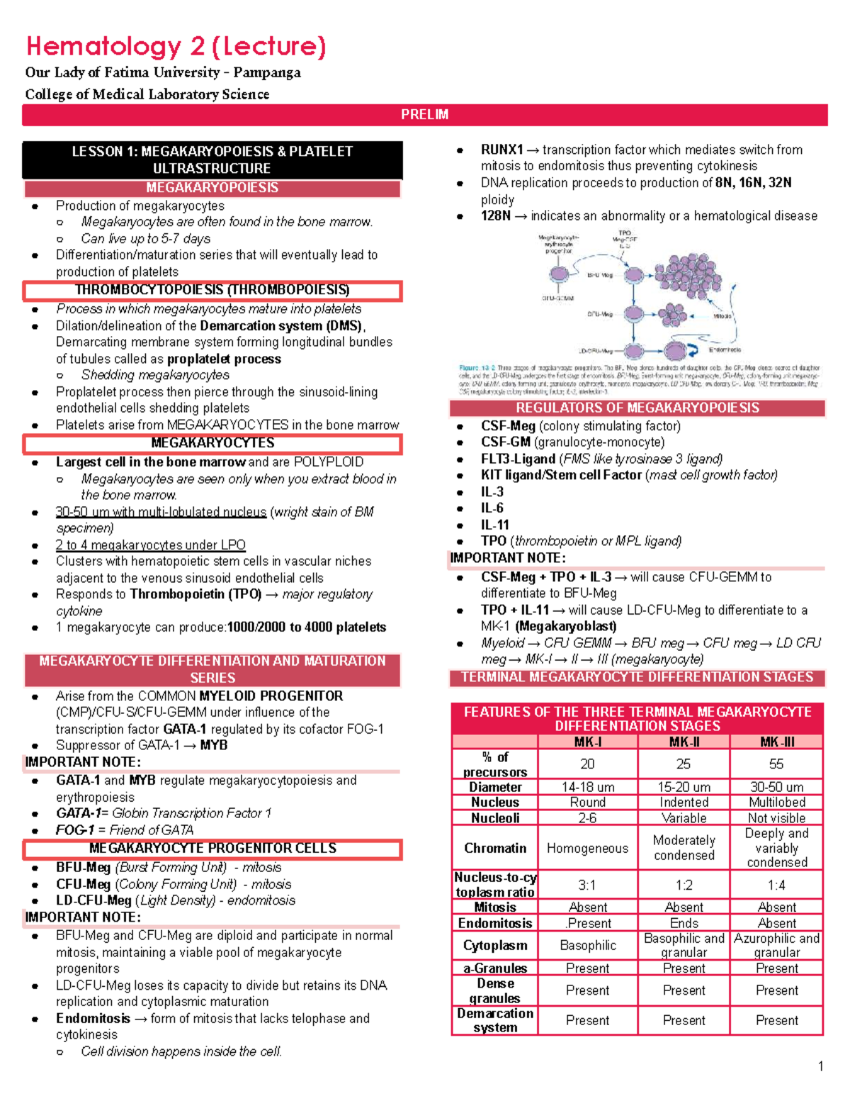 HEMA 2 Prelim Lecture Notes: Megakaryopoiesis & Hemostasis - Studocu
