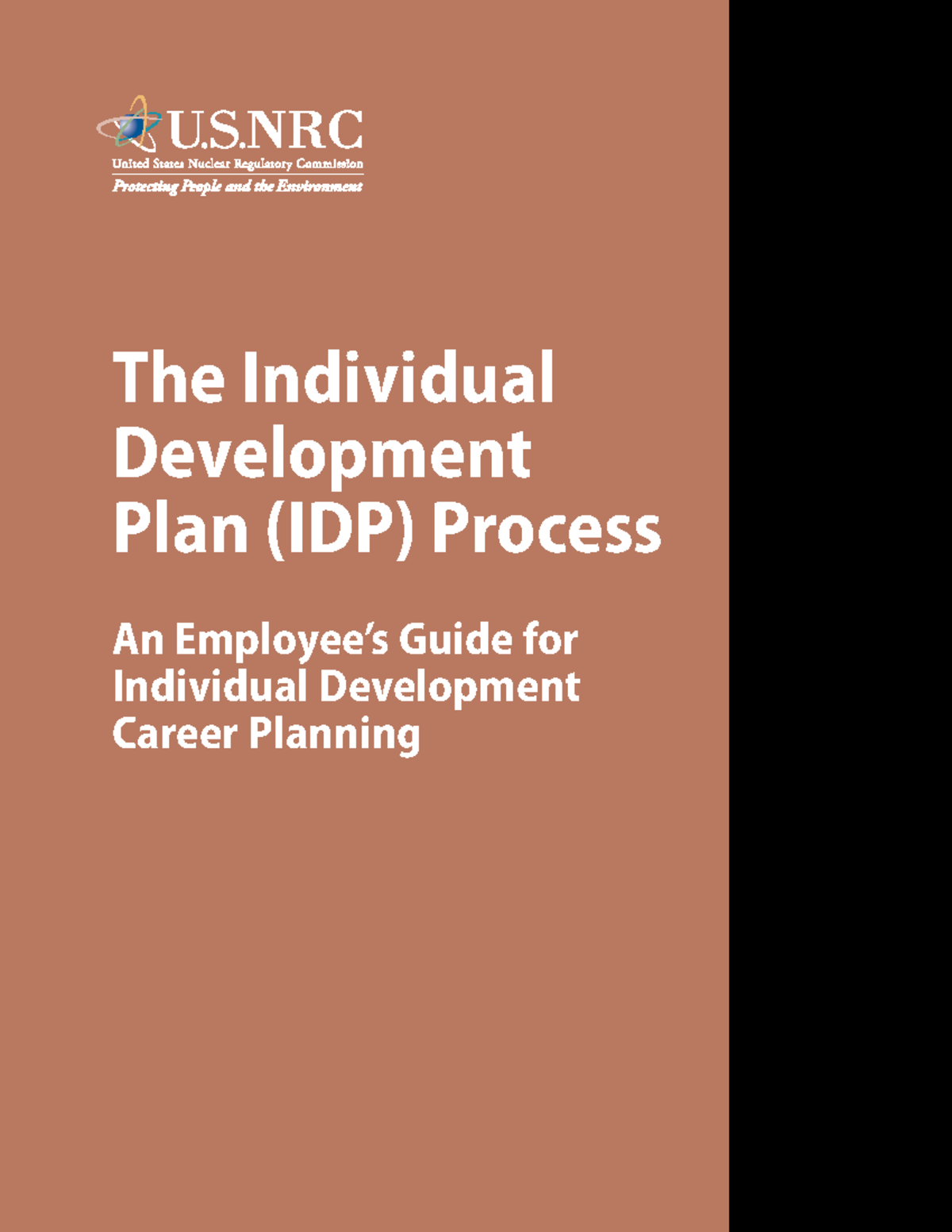 NRC IDP Guide: A Comprehensive Approach to Career Development - Studocu