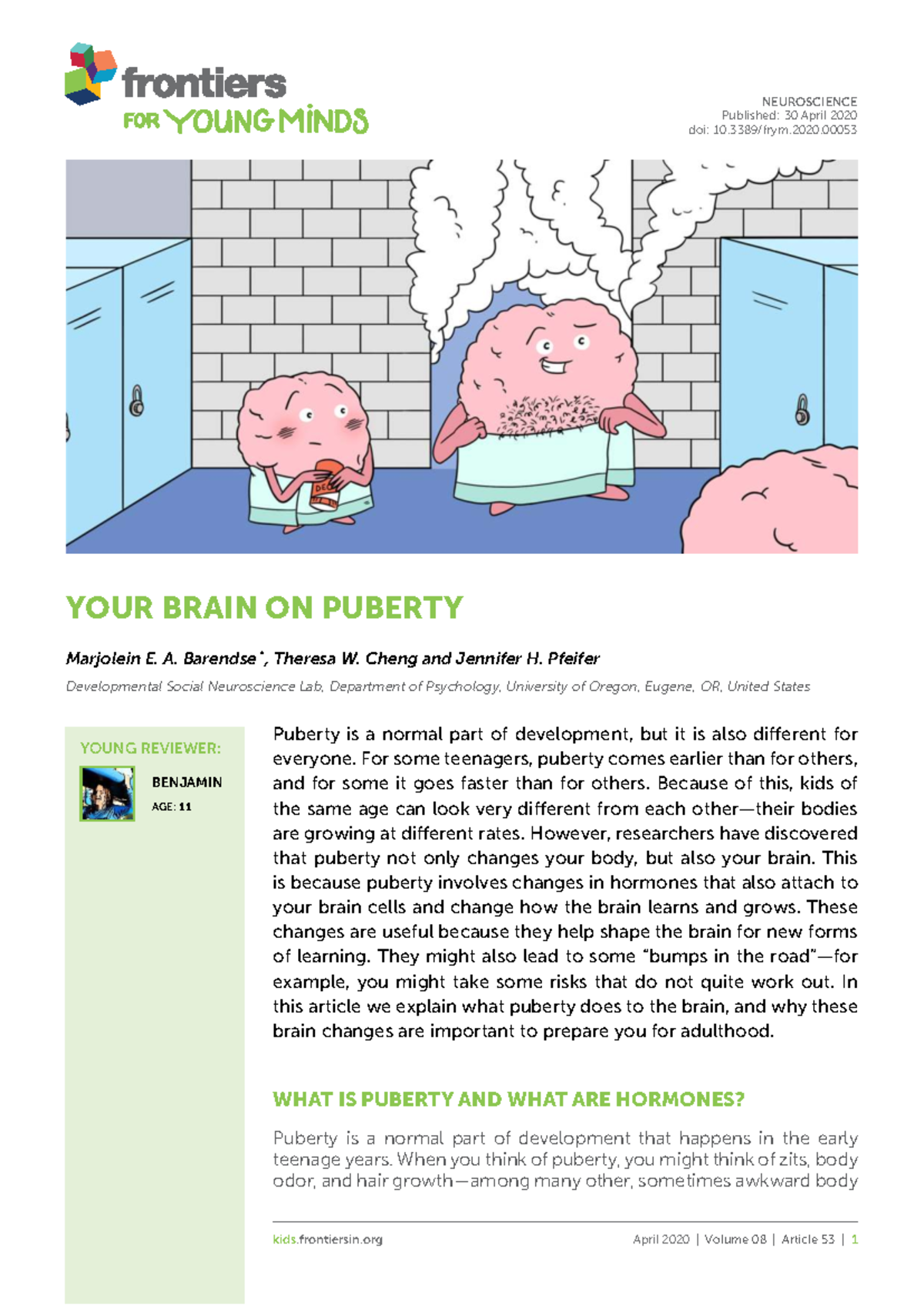 Your Brain on Puberty: Understanding Hormonal Changes in Adolescence ...
