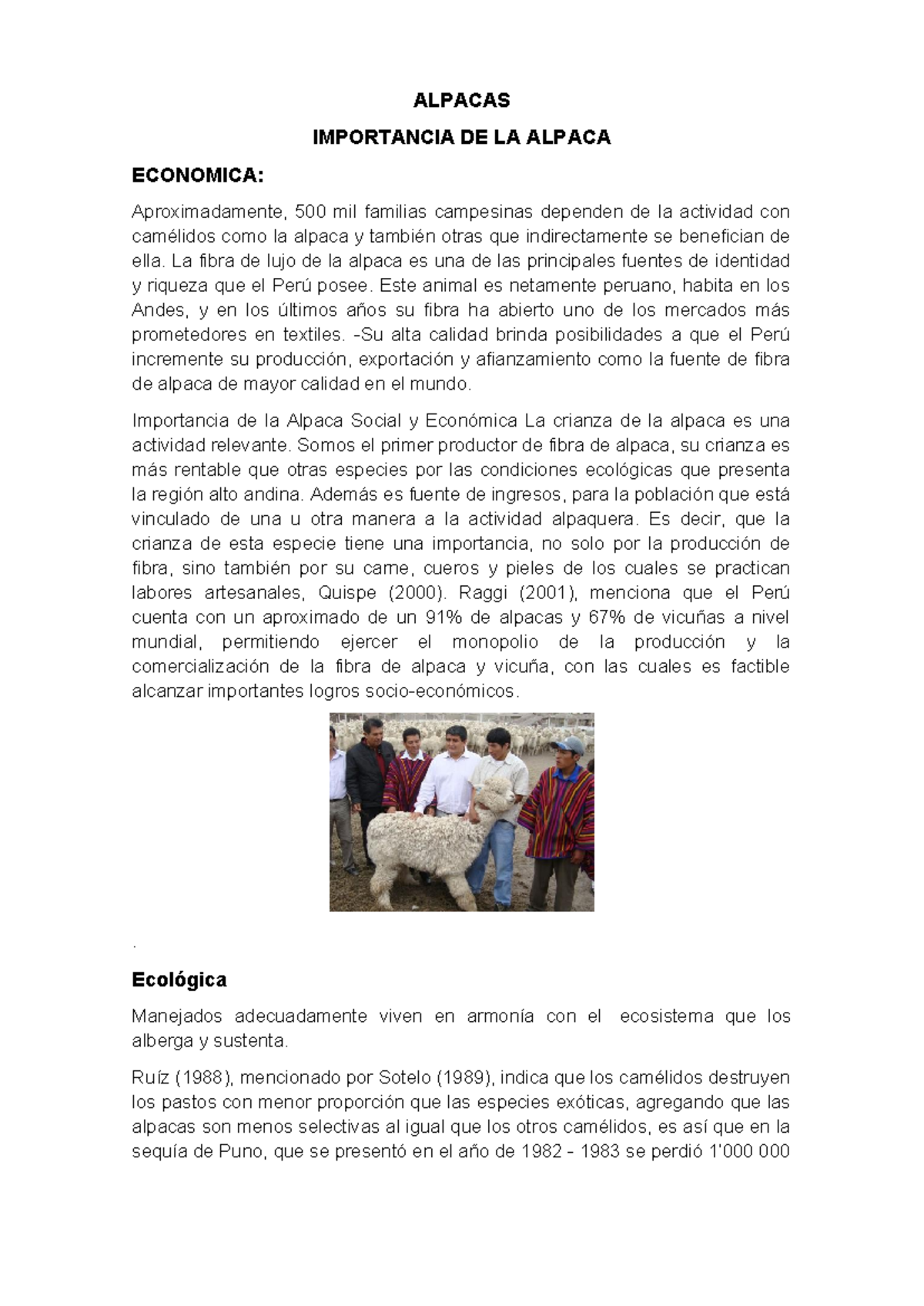 Alpacas - Camelidos - ALPACAS IMPORTANCIA DE LA ALPACA ECONOMICA ...