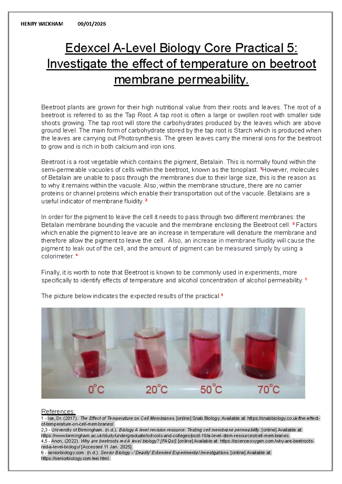 Edexcel Biology Core Practical 5: Temperature Effects on Beetroot ...