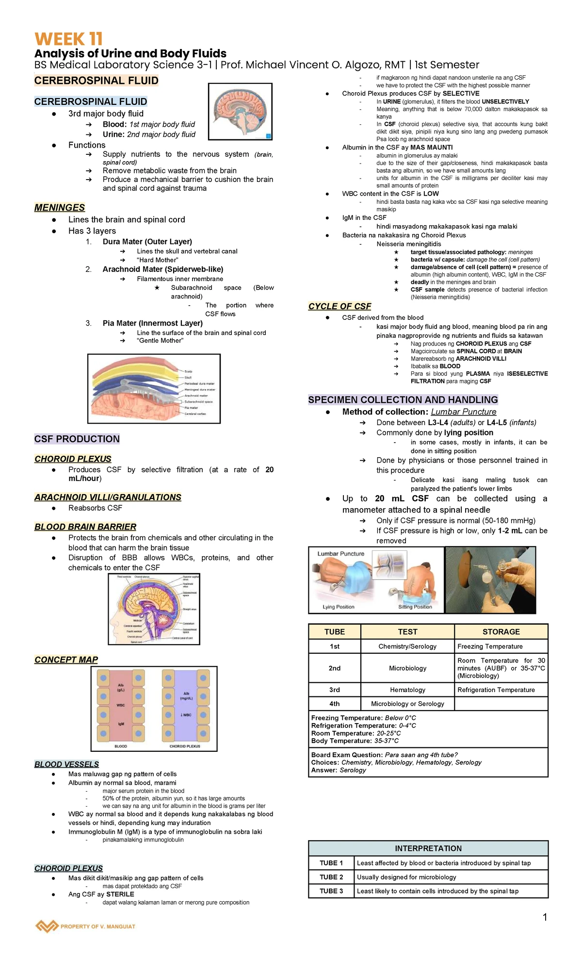 WEEK 7 Analysis of Urine and Body Fluids - BSMLS RMT Notes - Studocu