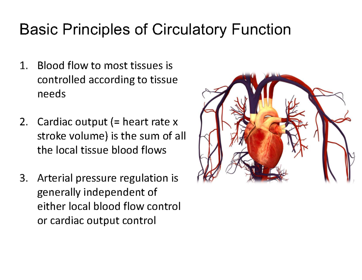 Bio3U03-08: Tissue Blood Flow and Circulatory Control Principles - Studocu