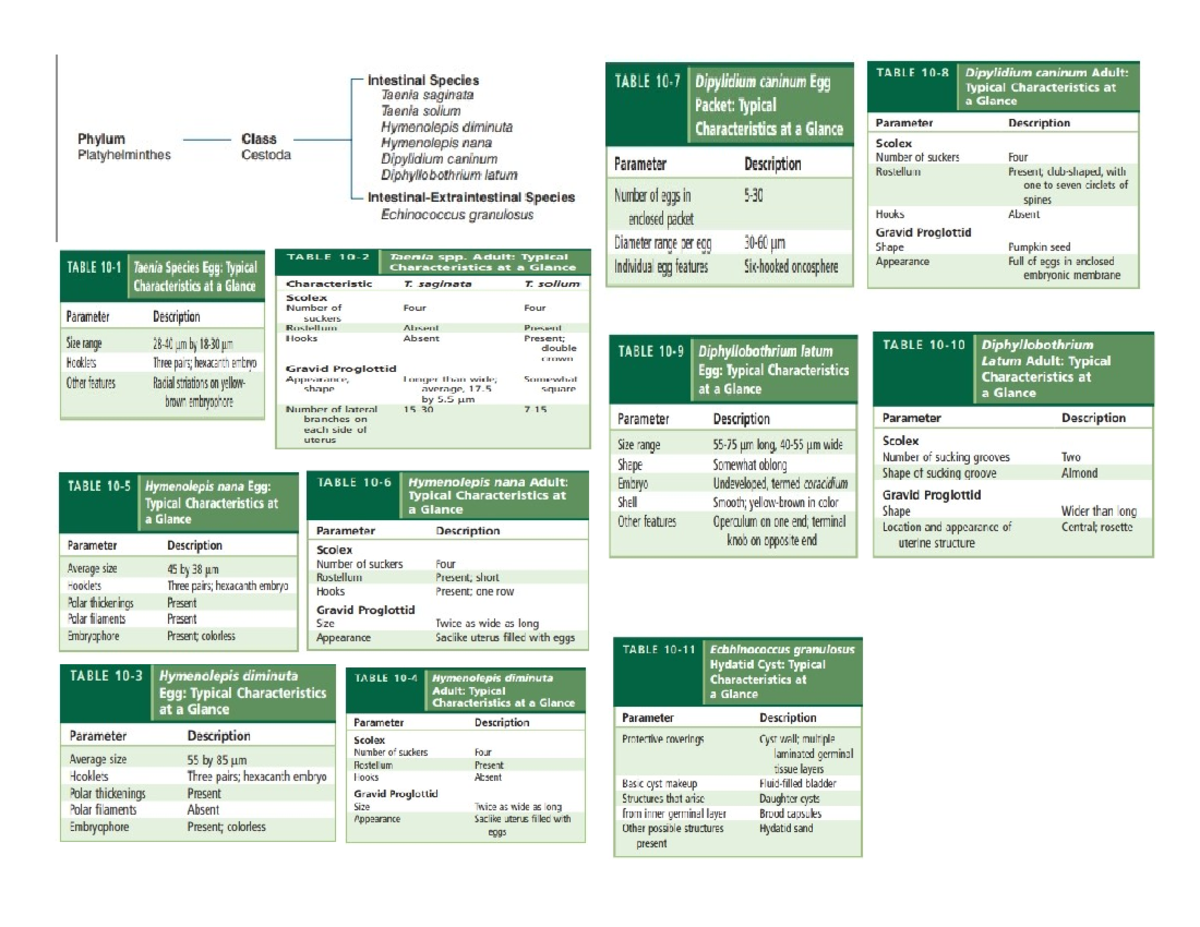 Doc2 - Cestodes compilation - TABLE Intestinal Species TABLE Dipylidium ...