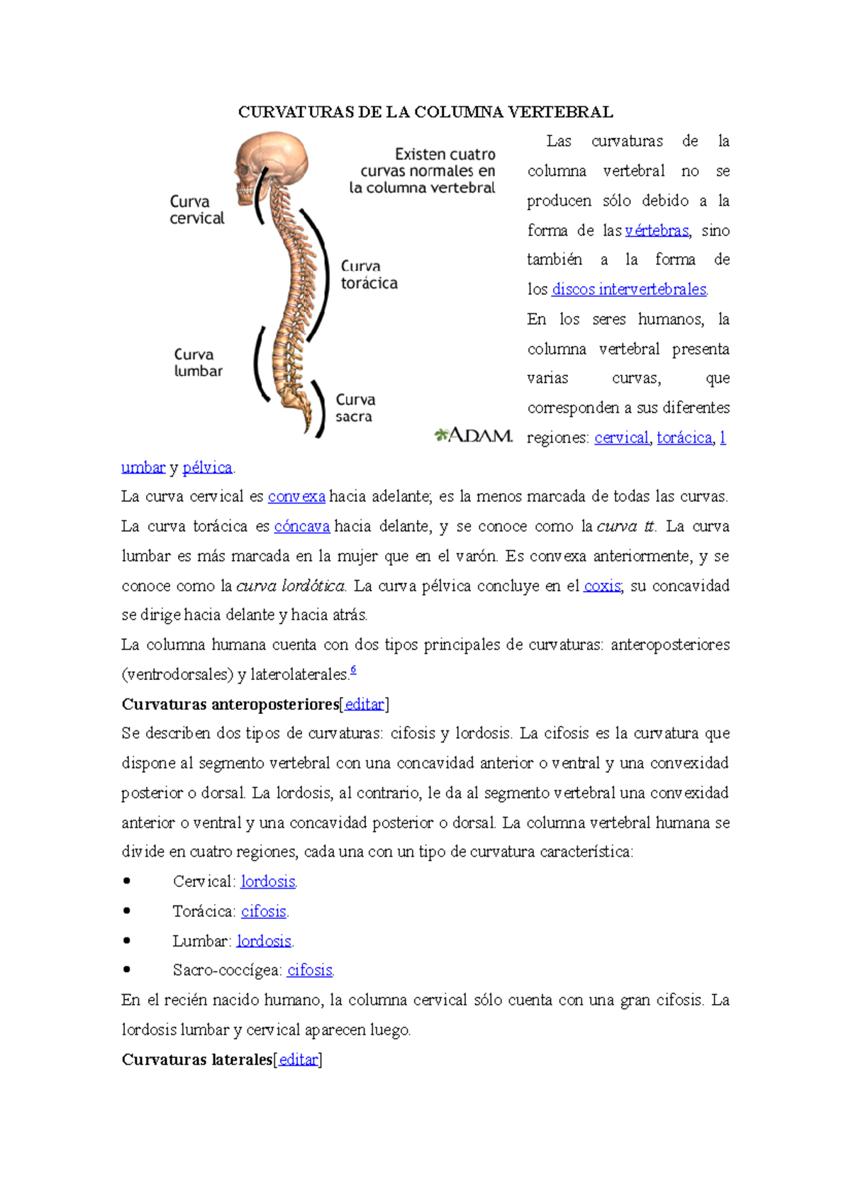 Curvaturas de la Columna Vertebral: Anatomía y Función - Studocu