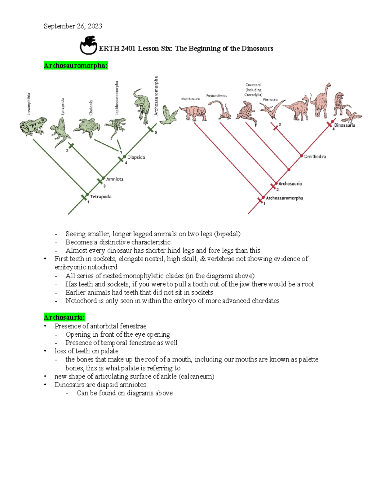 ERTH 2401 Lesson 6: The Evolution of Dinosaurs and Archosaurs - Studocu