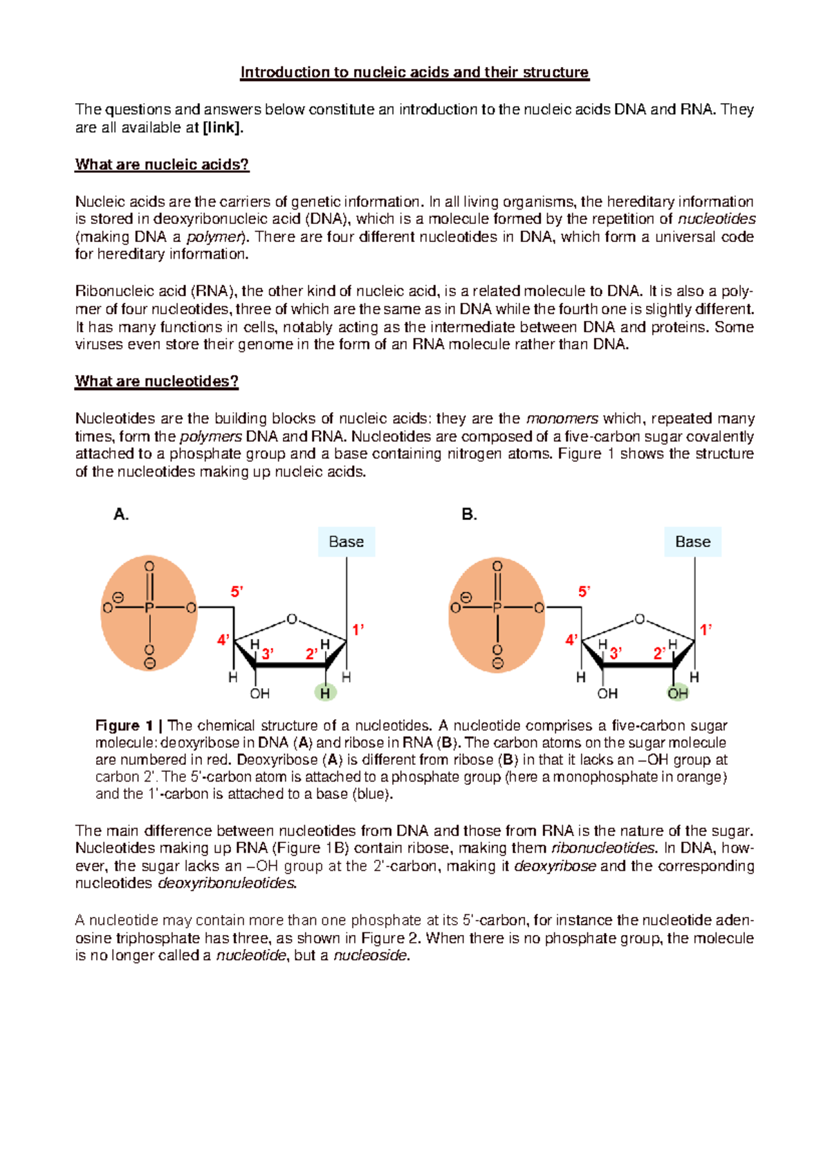 Nucleic Acids Structure and Function - Lecture Notes (Bio 101) - Studocu