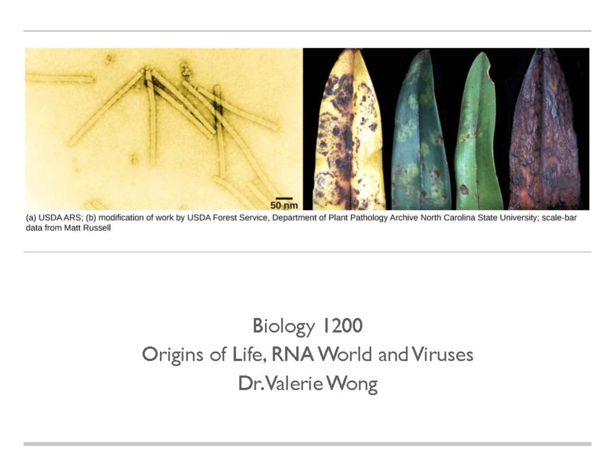 Biology 1200: Origins of Life and Viruses Lecture Notes - Studocu