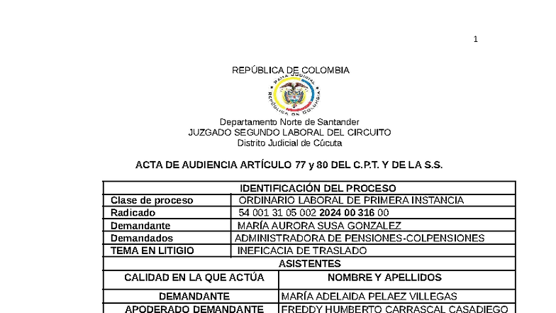 Acta de Audiencia Ordinaria Laboral - Radicado 54 001 31 05 002 2024 00 316 00 - Document Preview