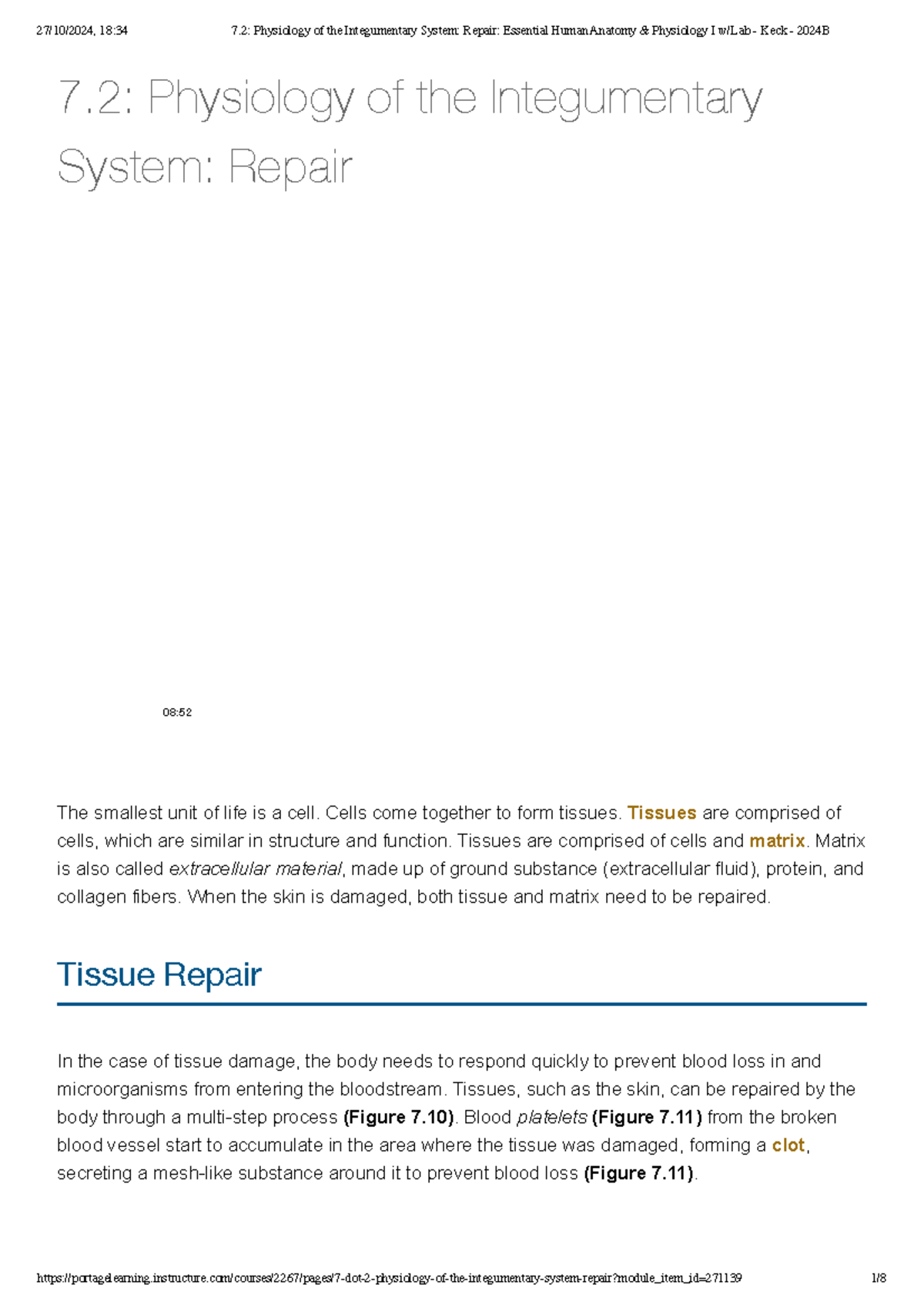 Algebra Math Test Revision Guide for Standards 7 & 8 - Studocu