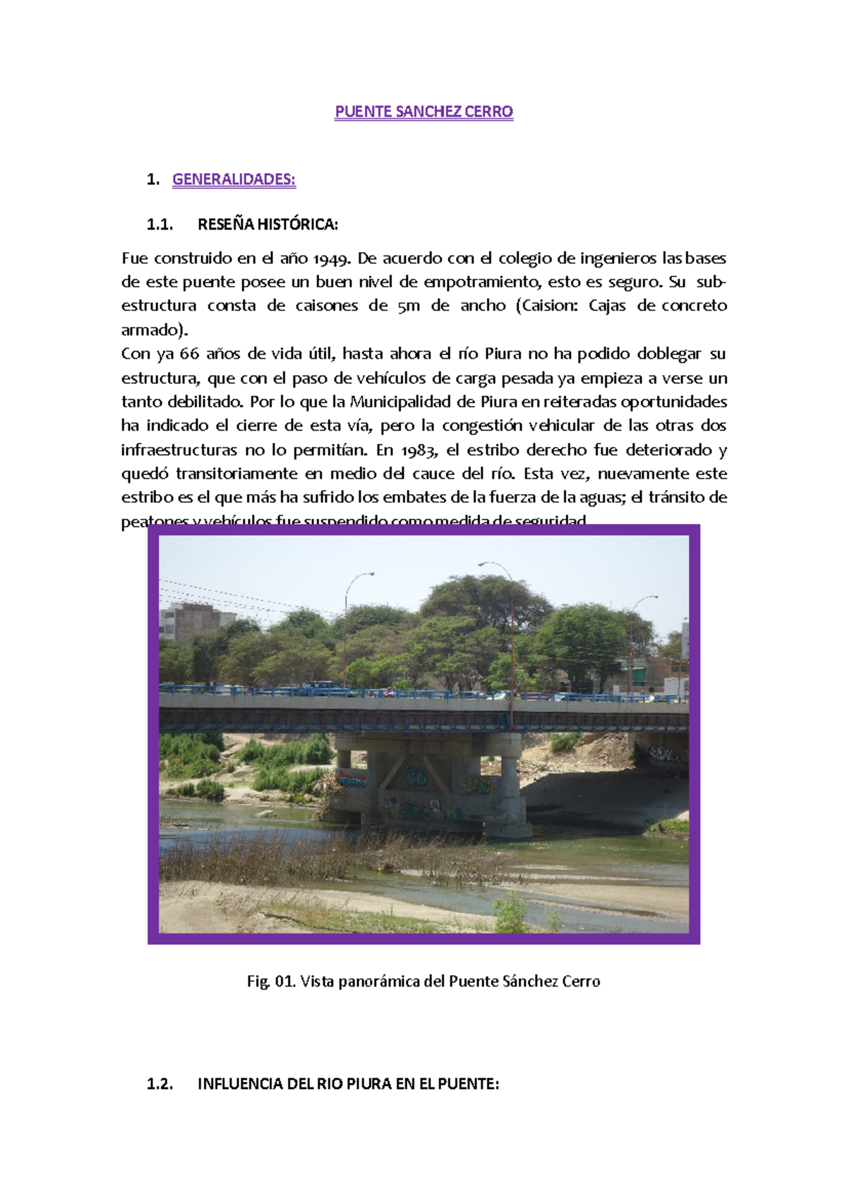 Estudio sobre el Puente Sánchez Cerro: Historia y Características - Document Preview