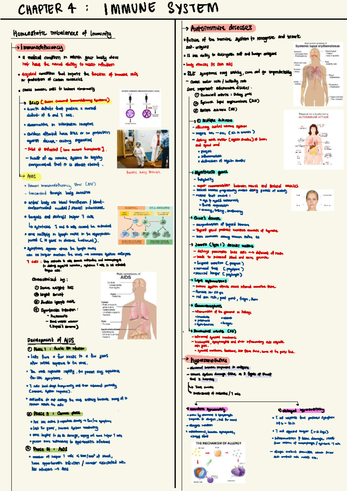 Quick Notes 4: Chapter 4 - Immune System and Autoimmune Diseases - Studocu