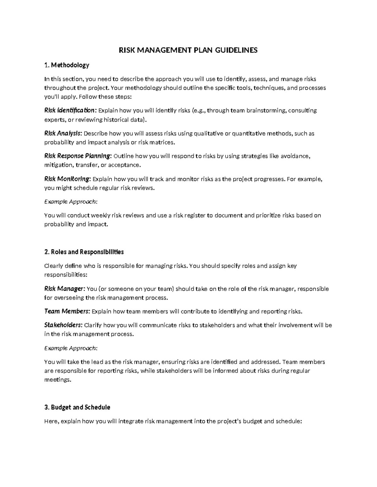 11. RISK Management PLAN Guidelines - RISK MANAGEMENT PLAN GUIDELINES 1 ...