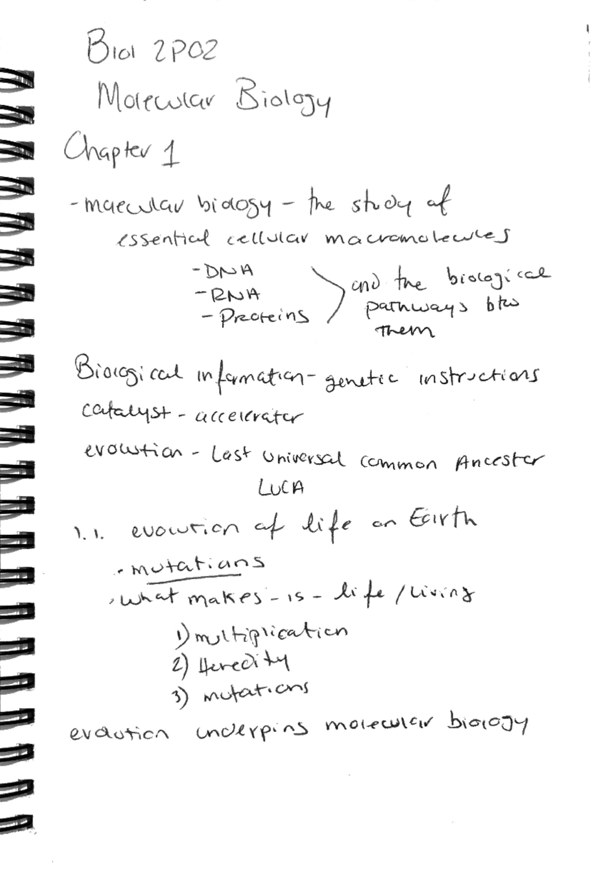 Biol2P02 - Molecular Biology Chapter Notes and Key Concepts - Studocu
