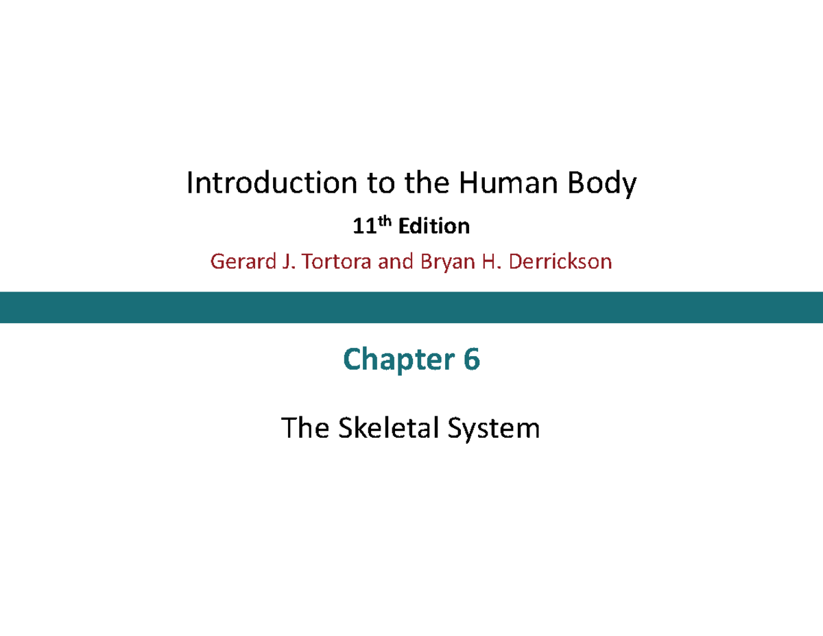 Introduction to the Human Body: Chapter 6 - The Skeletal System - Studocu