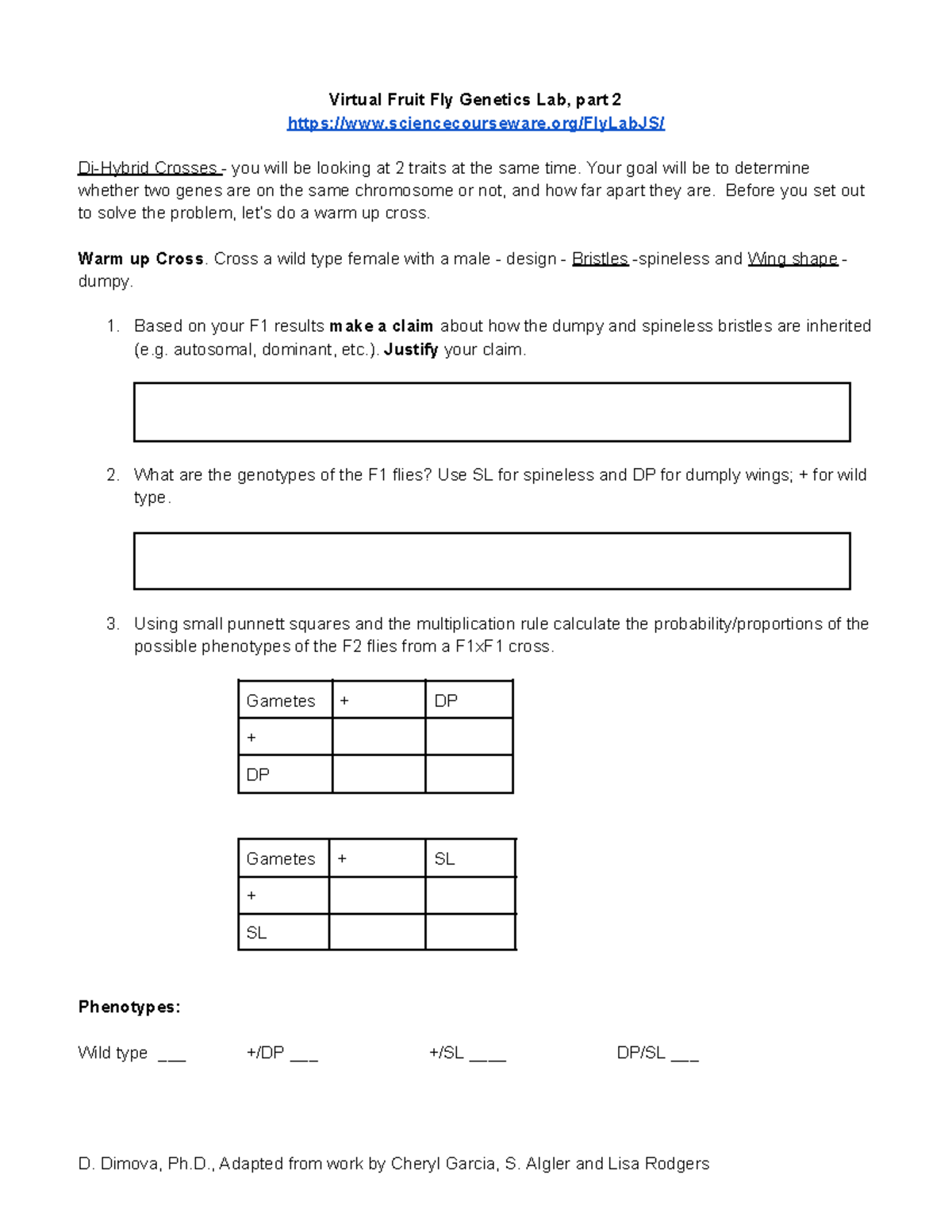 Fly Genetics Lab - Your goal will be to determine whether two genes are ...
