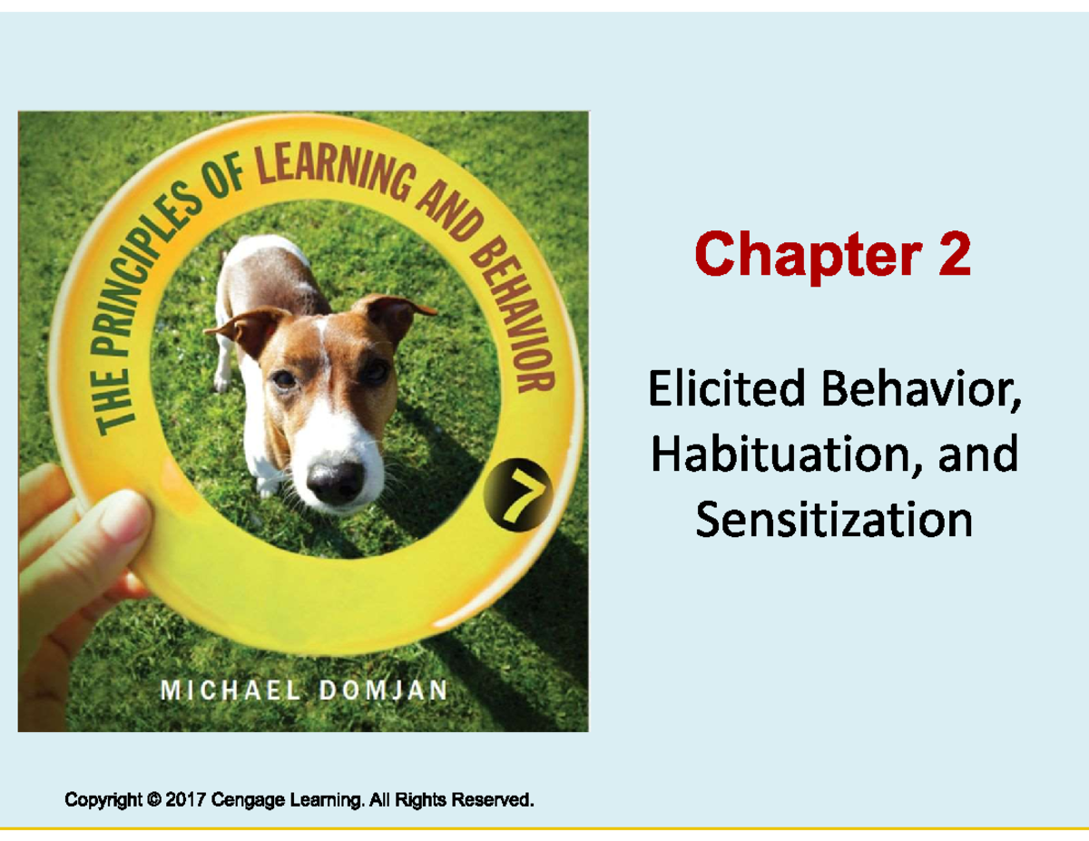 LP Chapter 2 Presentation Slides - Learning Processes Overview - Studocu