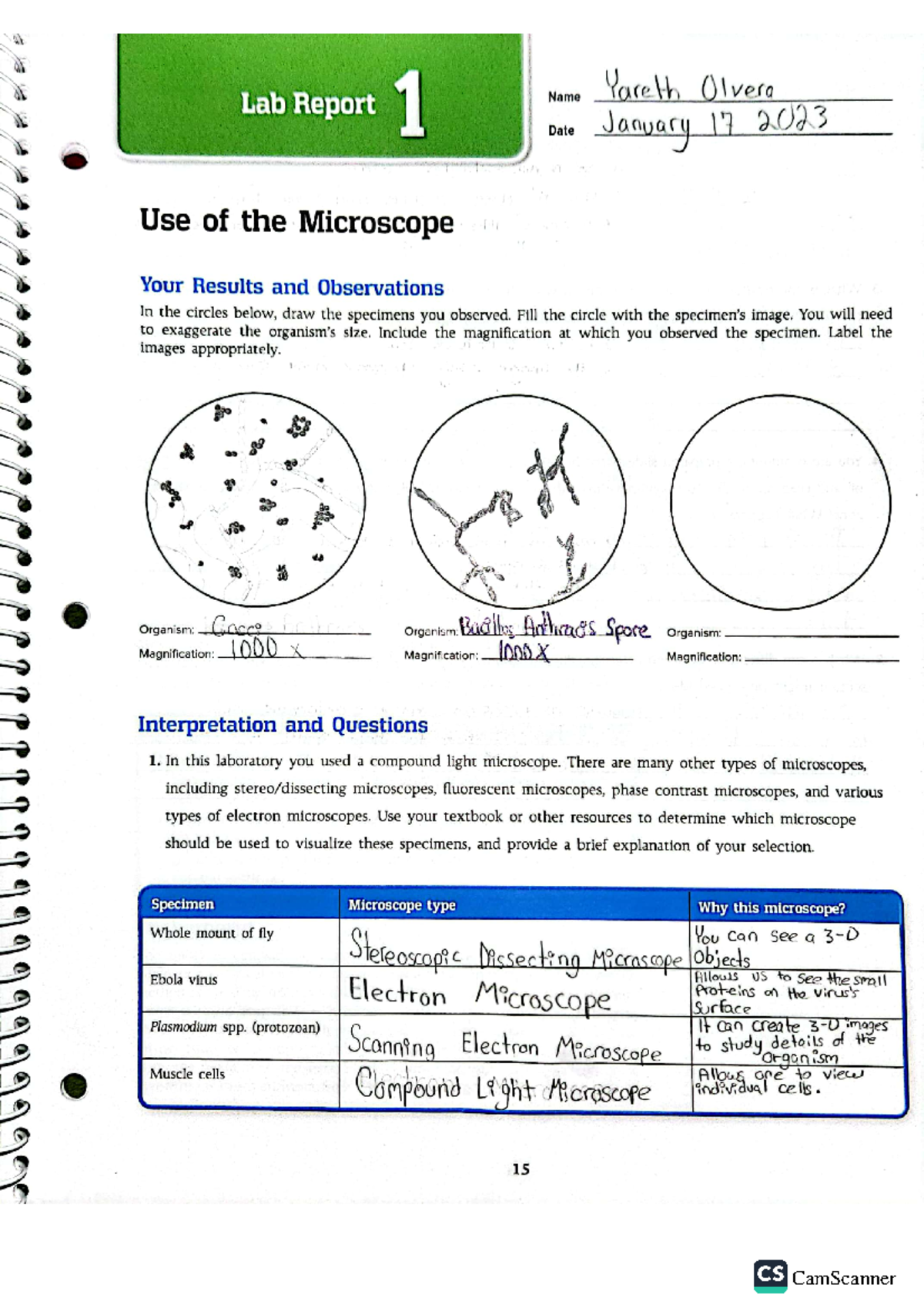 Lab Ex. 1 - Microscope Usage and Observations in 2023 - Studocu