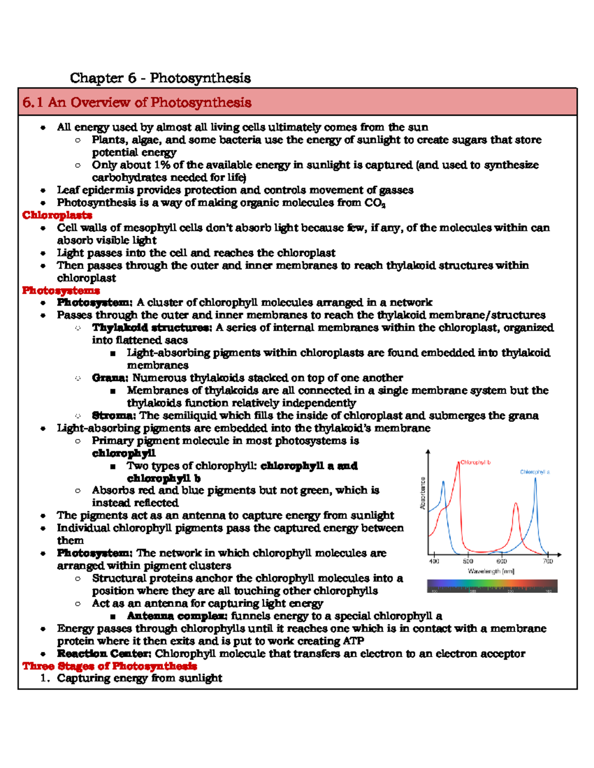 BIOL 100 Chapter 6 Study Guide - Understanding Photosynthesis - Studocu