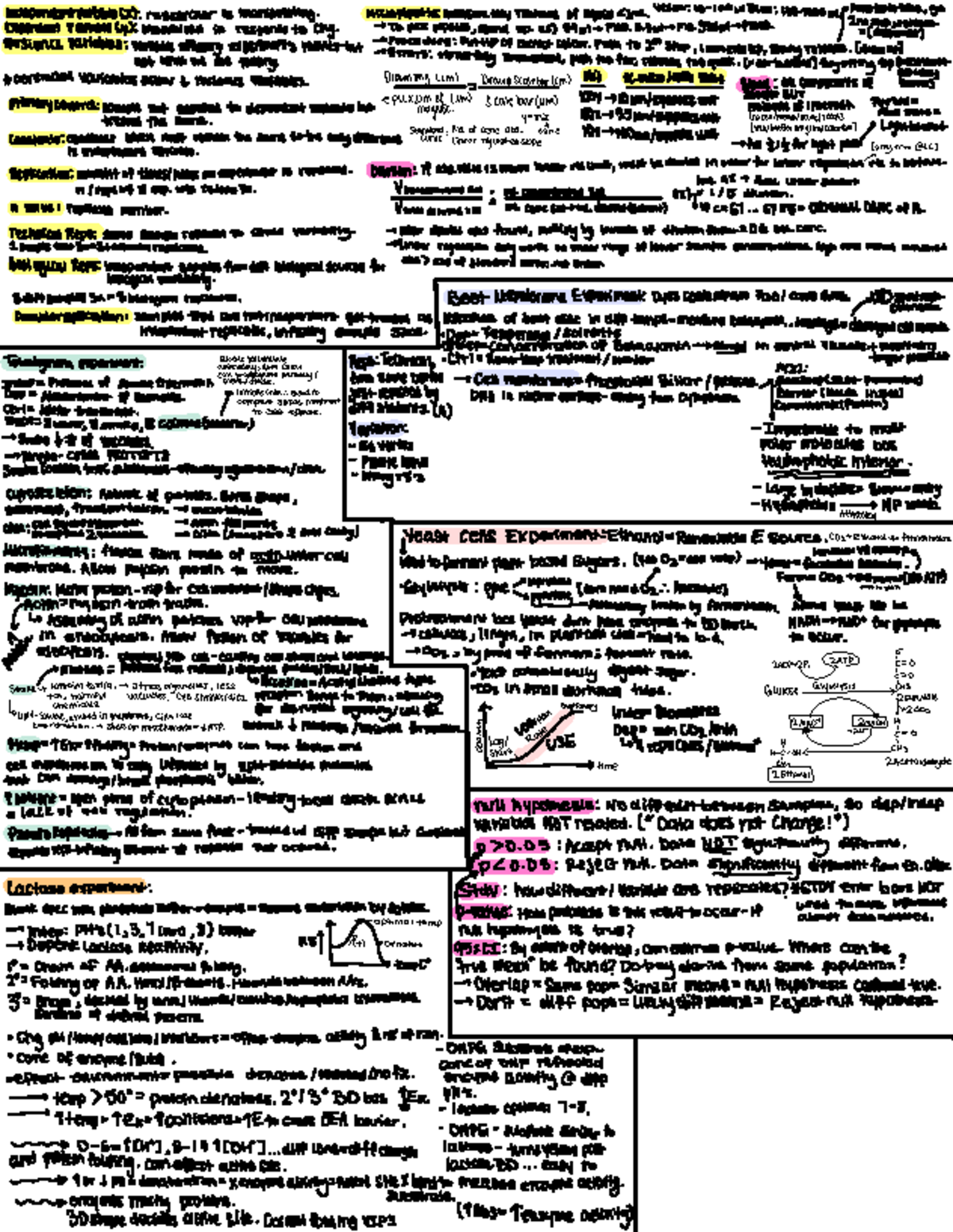 Cheat Sheet: Final Exam on Yeast Fermentation & Betacyanin Analysis ...