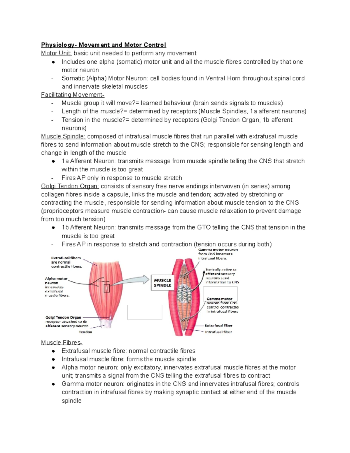 PHYS Unit 6: Endocrine System Overview - Key Concepts & Functions - Studocu