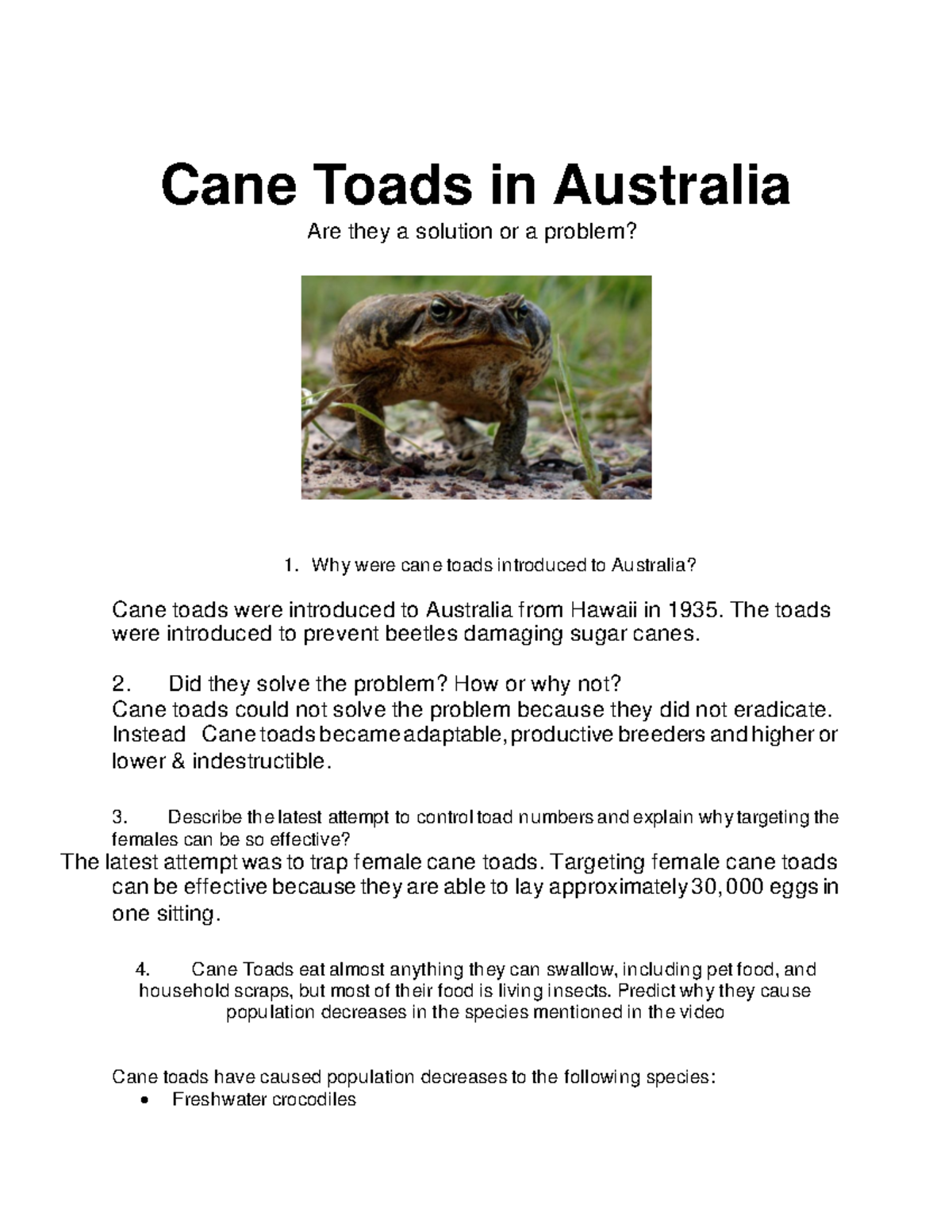 Cane Toads 1 - Why were cane toads introduced to Australia? Cane toads ...