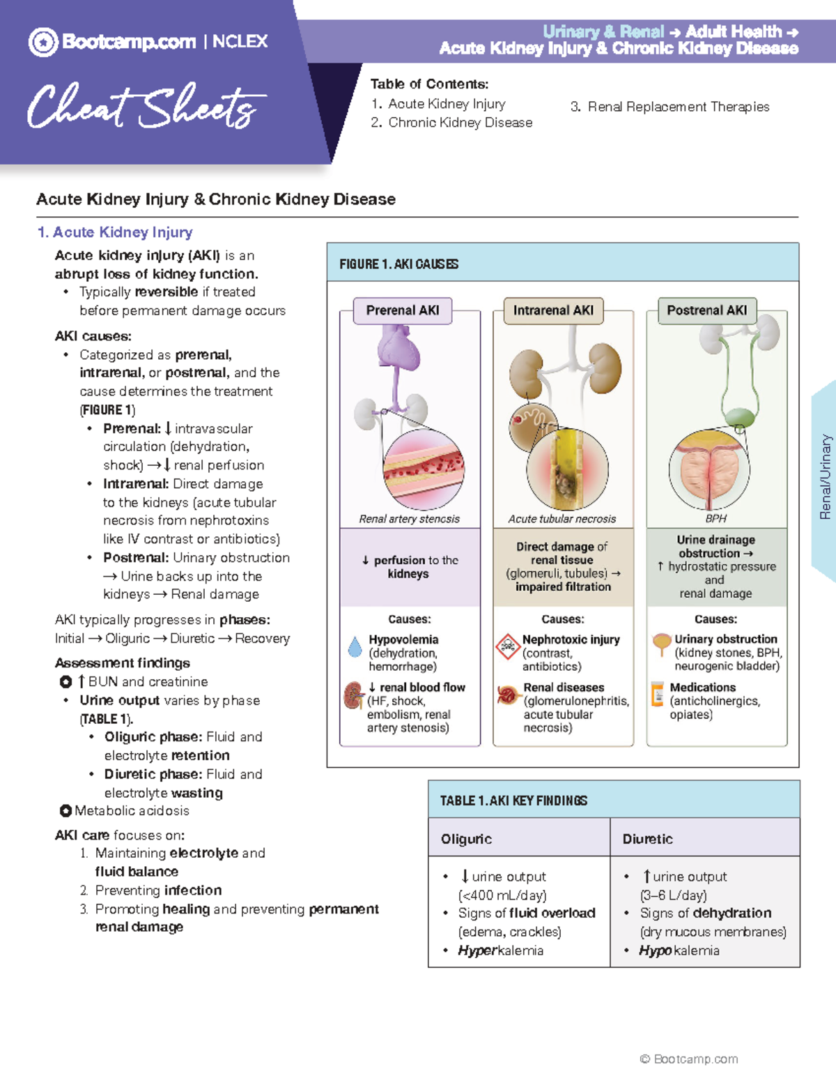 Acute Kidney Injury & Chronic Kidney Disease Management Guide (AKI/CKD ...