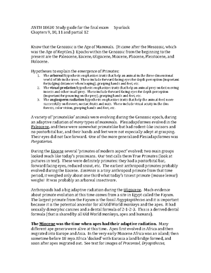 Human Evolution: Insights from Primate Taxonomy & Behavior Analysis ...