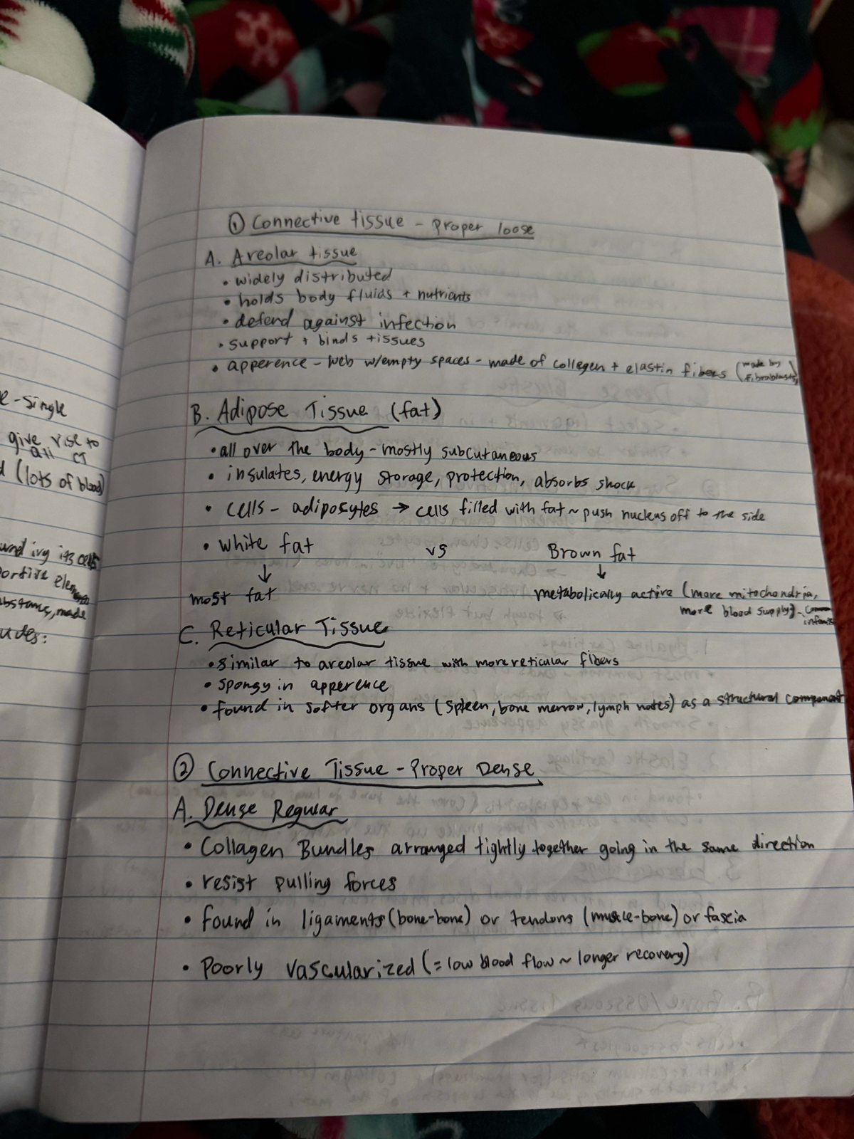 Final Exam Review Notes on Connective Tissue for ABC123 - Studocu