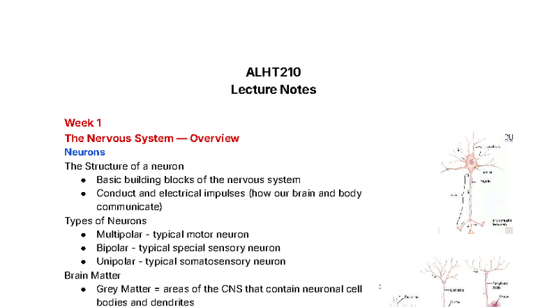 ALHT210 Lecture Notes: Week 1 - Overview of the Nervous System - Studocu
