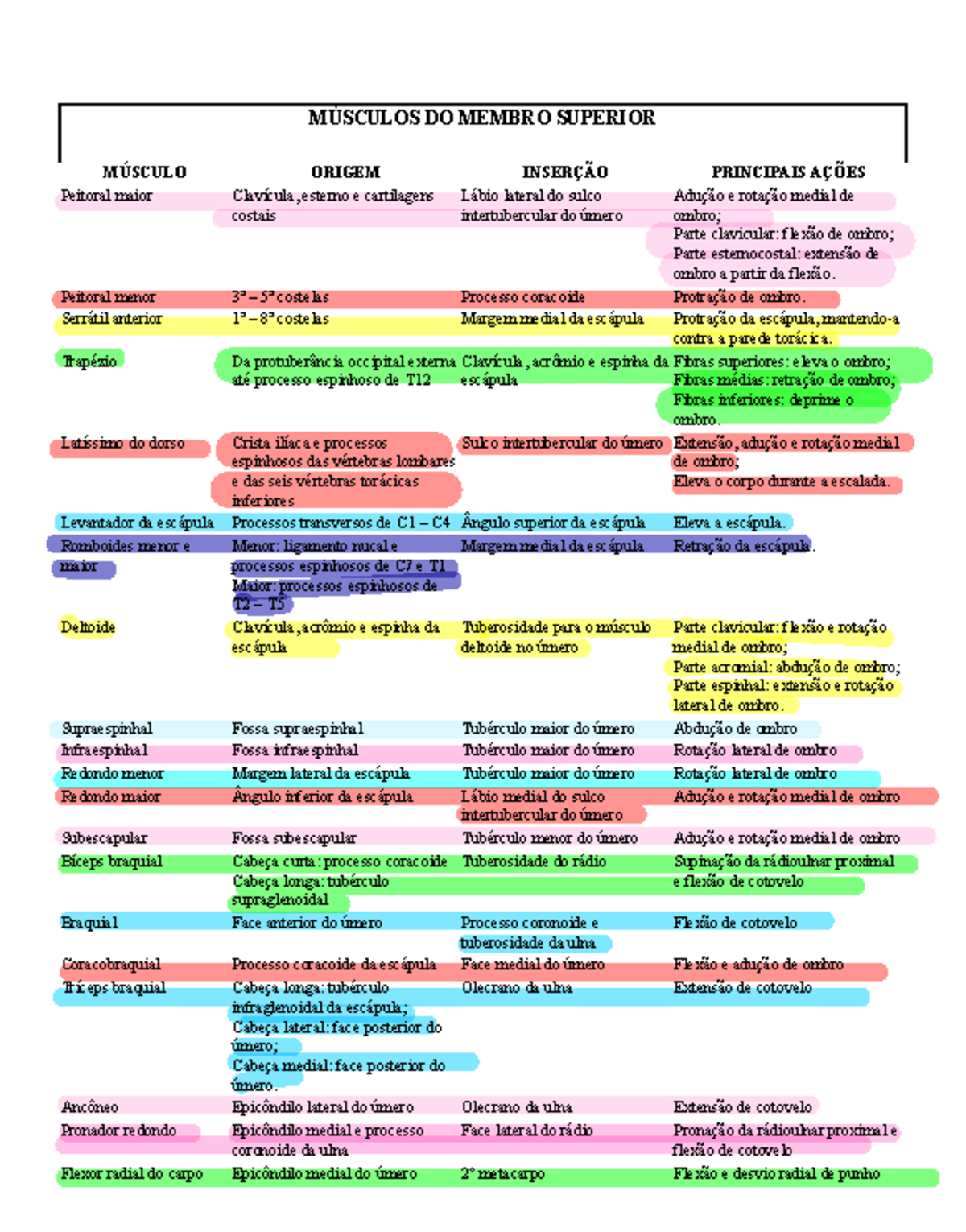 Anatomia dos Músculos do MMSS e MMII: Origem e Inserção - Studocu