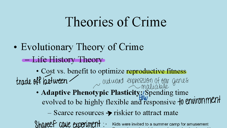 02 - Lecture Notes on Theories of Crime and Evolutionary Perspectives ...