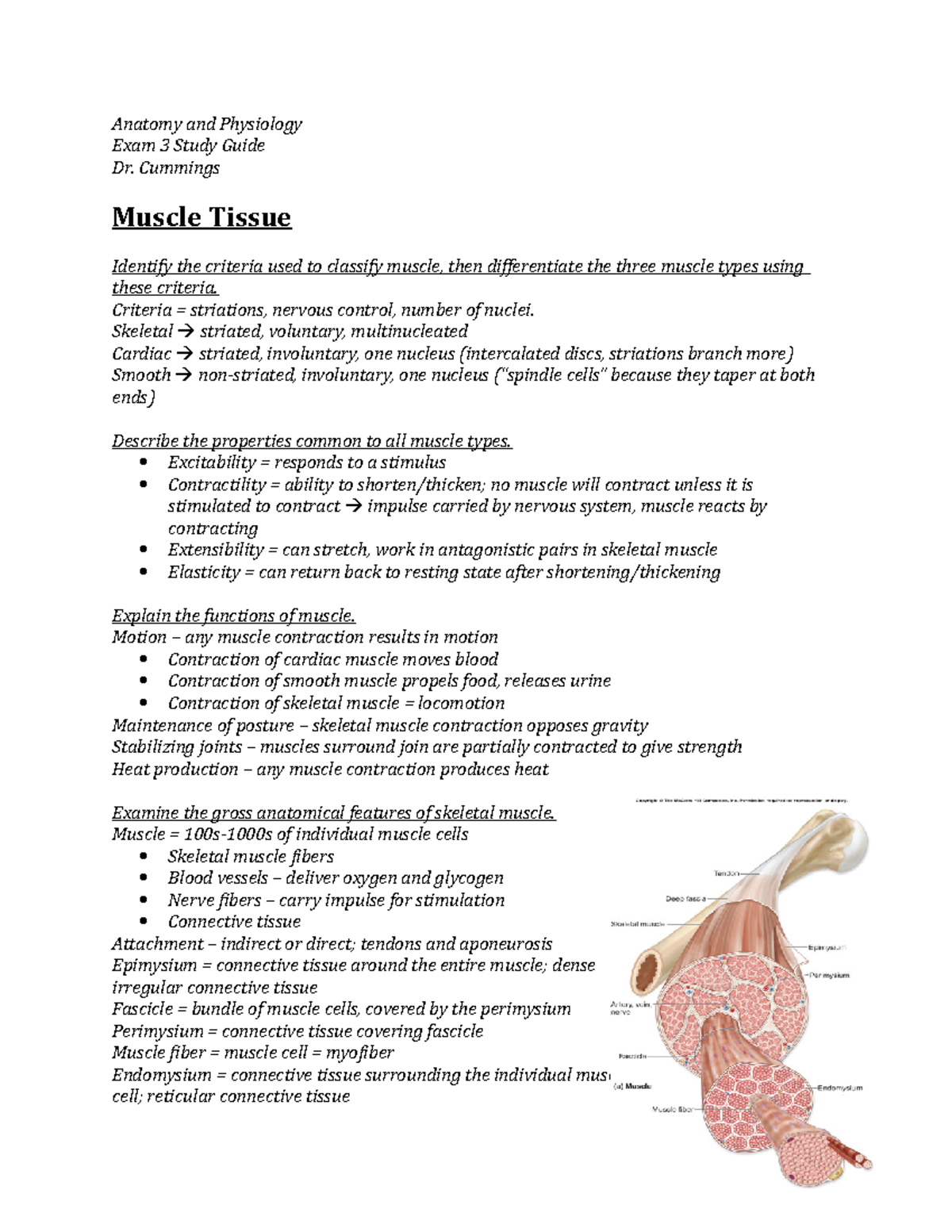 Anatomy visual data 4