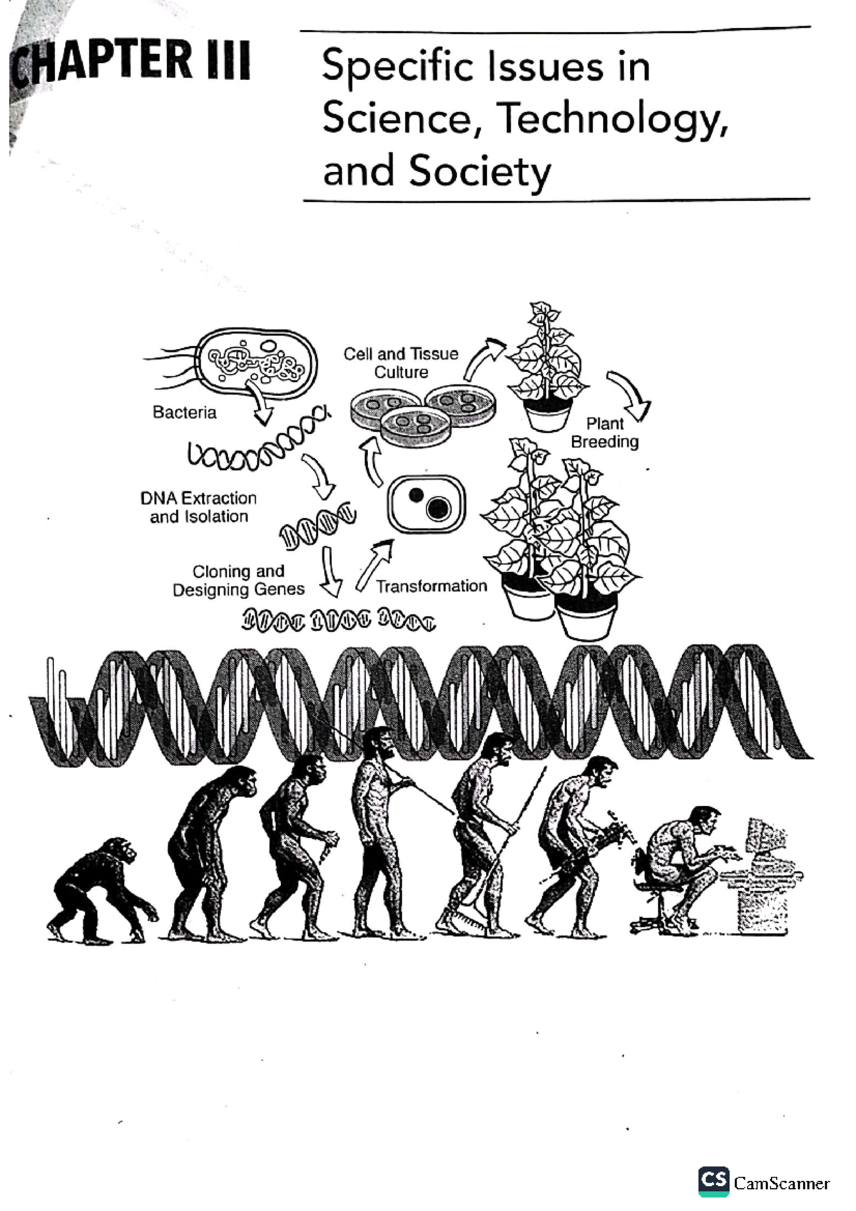 STS 1802 - Lesson on The Information Age: Understanding Data and Impact ...