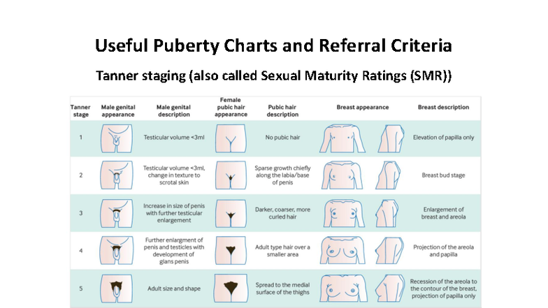 Pubertal Stages & Timings: Tanner Staging Explained - Studocu