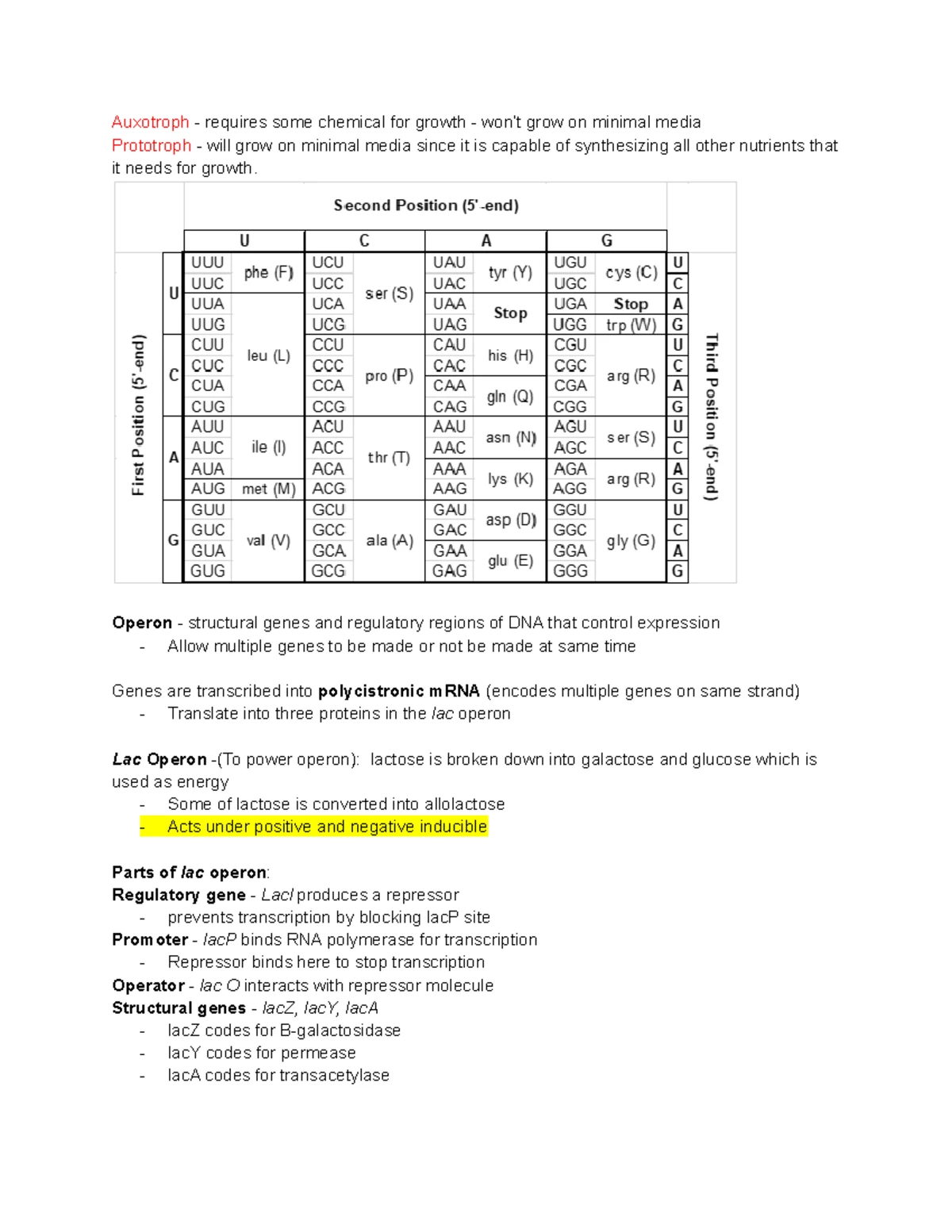 Comprehensive Guide to DNA Replication & Chromatin Structure (BIO101 ...
