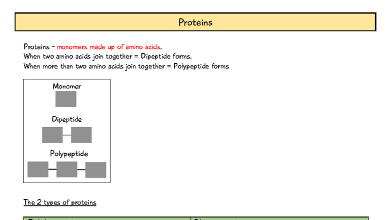 AQA AS Level Topic 3: Protein Structure and Function Notes - Studocu
