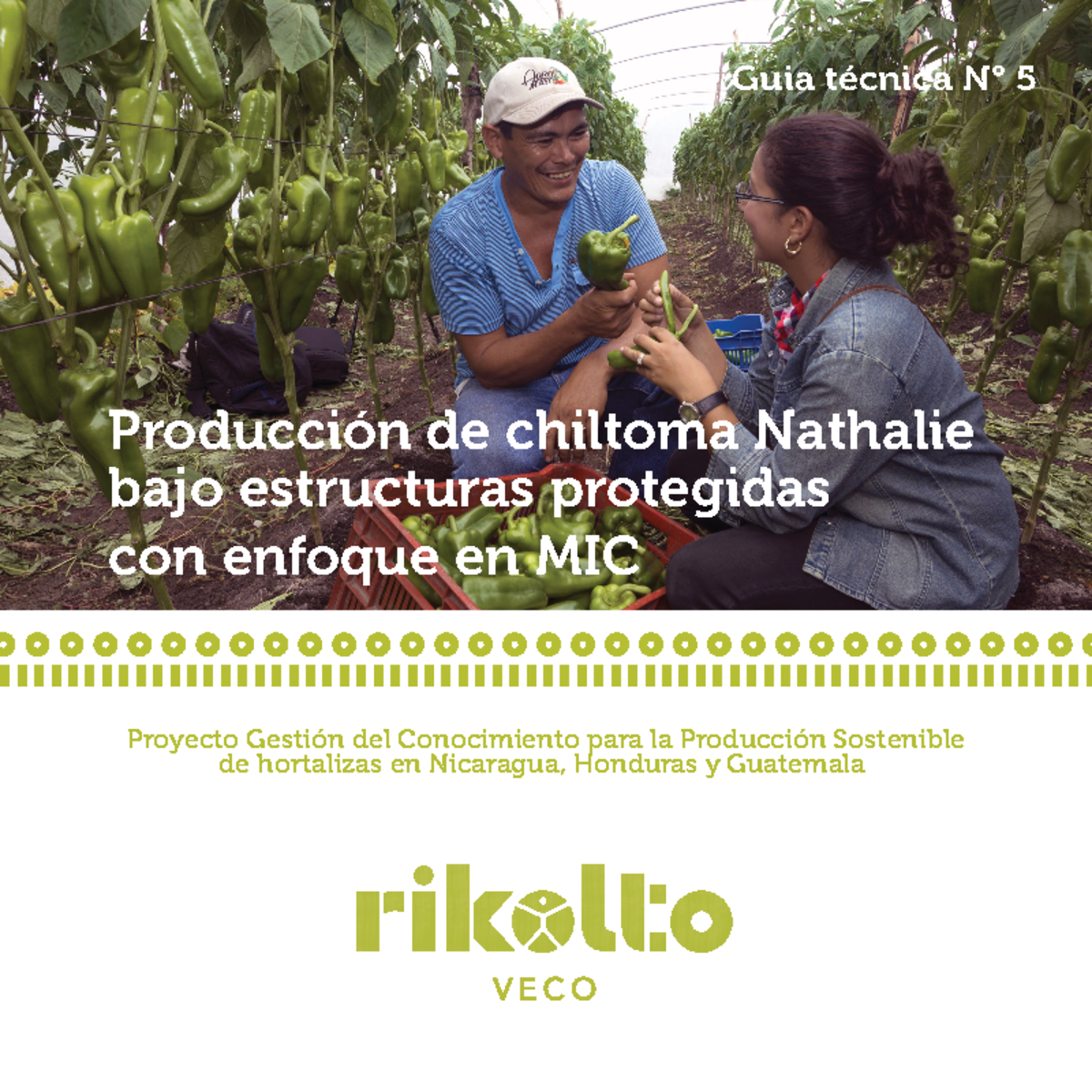 Guía Técnica N° 5: Producción Sostenible de Chiltoma con Enfoque MIC ...